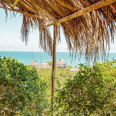 Tree House Villa Tofo Ngoại thất bức ảnh