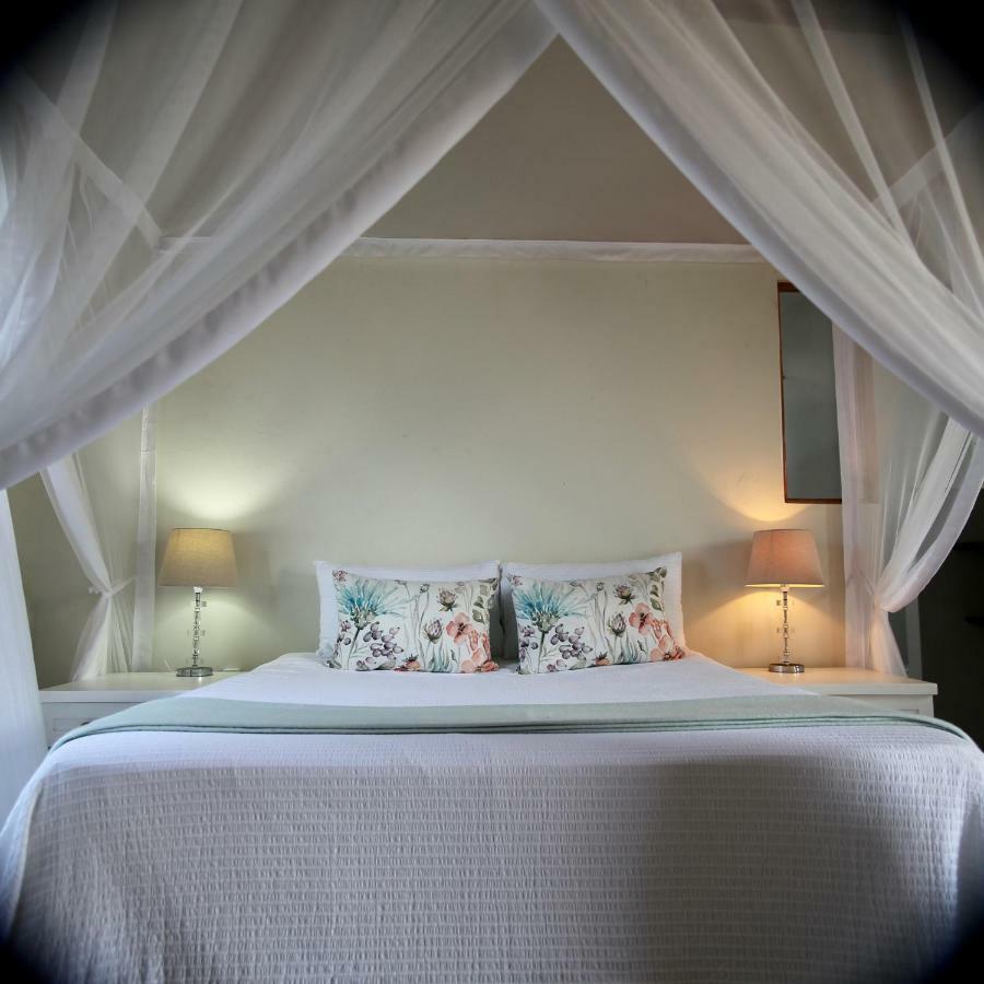 Tree House Villa Tofo Ngoại thất bức ảnh